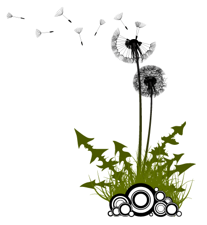 Sample illustration - dandelion